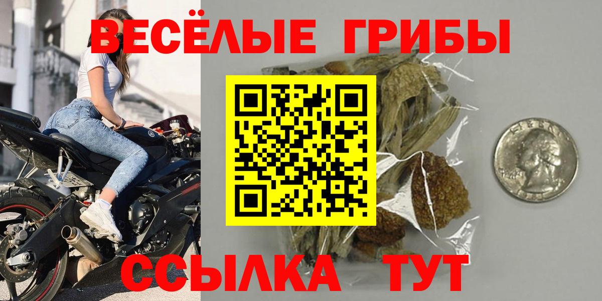 Крымск  Псилоцибиновые грибы мицелий  как найти наркотики  Вход с VPN 